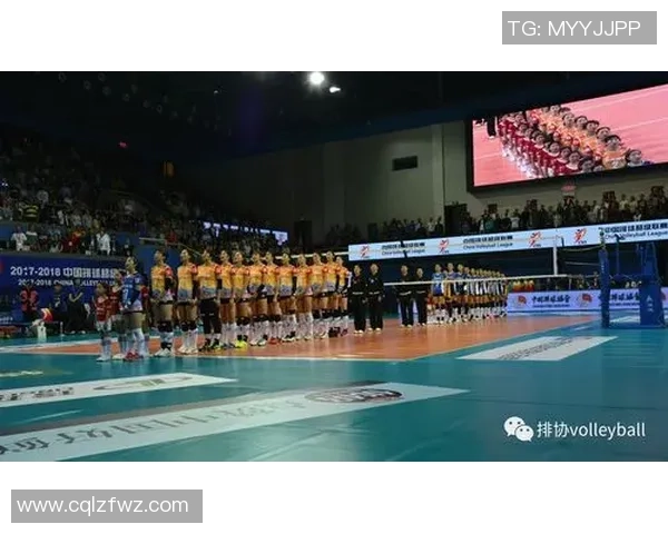 杭州排球队的整体压制革新探索与实践之路全景分析