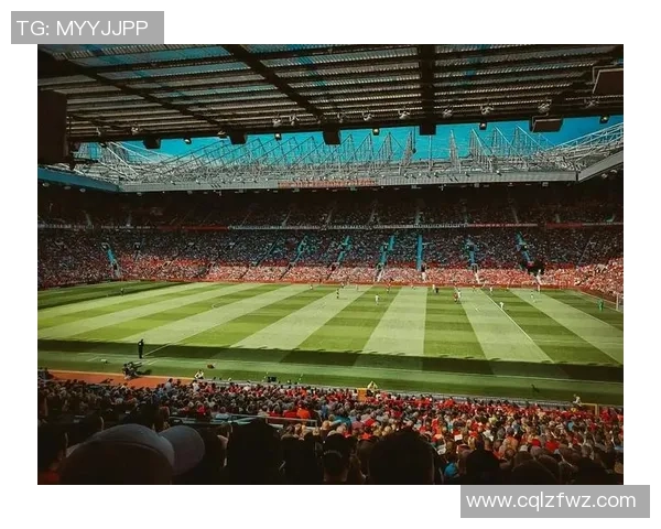 欣赏世界足球巨星的风采与魅力，感受他们在绿茵场上的精彩瞬间与传奇故事