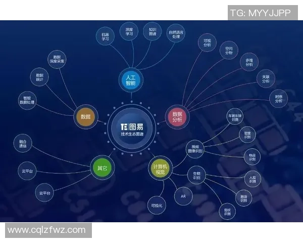 武汉排球队精英赛个人能力分析与表现评估探讨