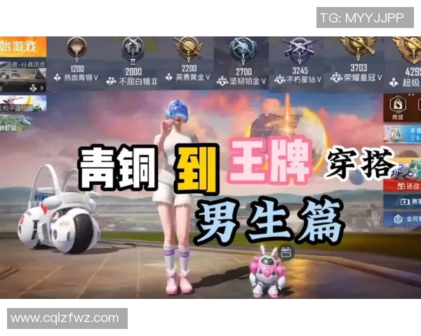 和平精英评论：TES的运营得失