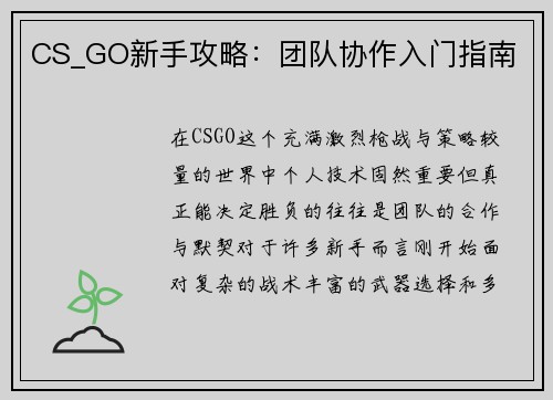 CS_GO新手攻略：团队协作入门指南