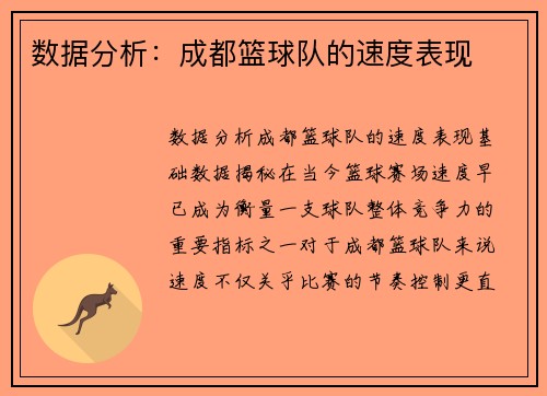 数据分析：成都篮球队的速度表现