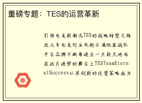 重磅专题：TES的运营革新
