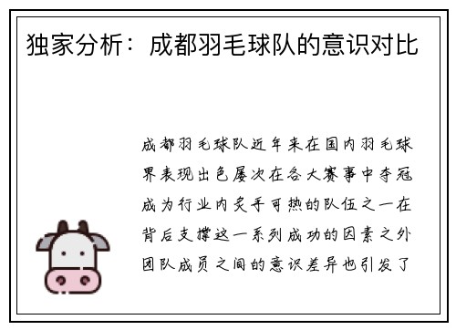 独家分析：成都羽毛球队的意识对比